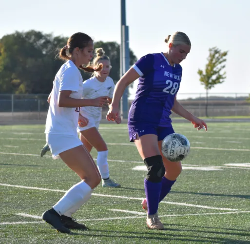 Eagles fall to top-ranked Stars despite improved second half